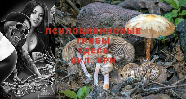 кокаин премиум Краснослободск