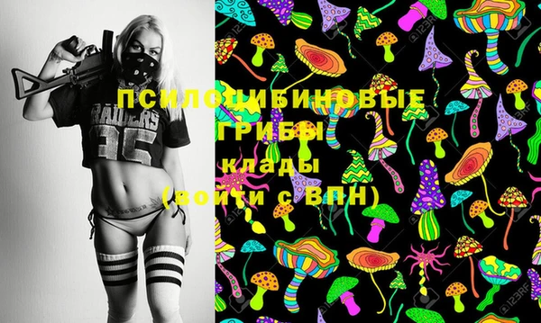 Альфа ПВП Абаза
