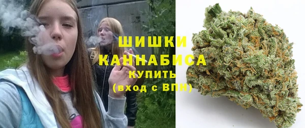 сатива Абинск