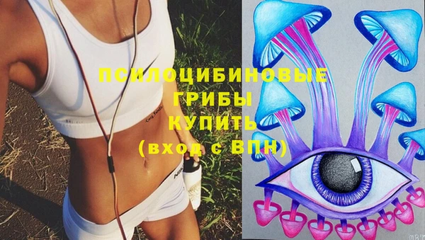 сатива Абинск