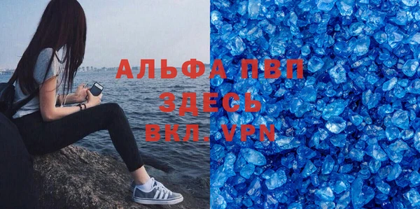 сатива Абинск